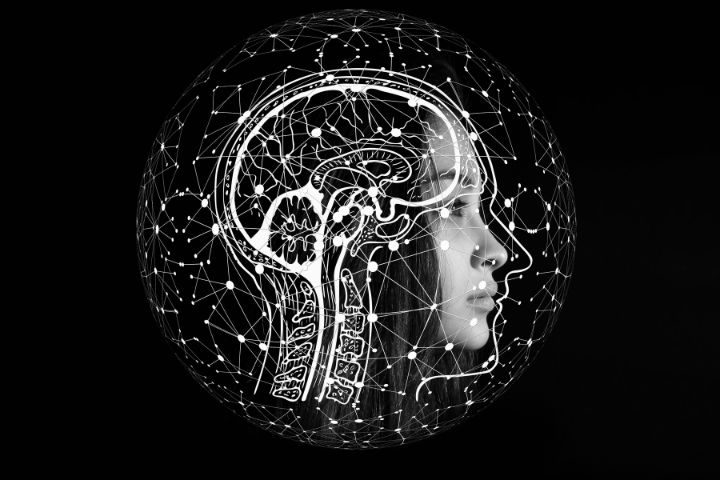 lady's side view of head with digital white overlay of brain structure on black background