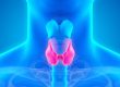blue medical image with the thyroid gland highlighted in pink