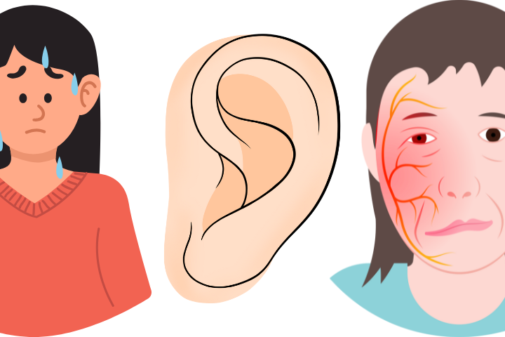 graphics of ear, trigeminal facial nerve and hot flushes