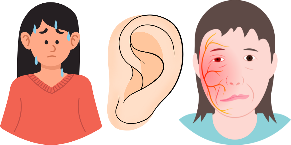 trigeminal graphics of ear, trigeminal facial nerve and hot flushes