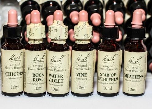 Bach flower remedies module 5