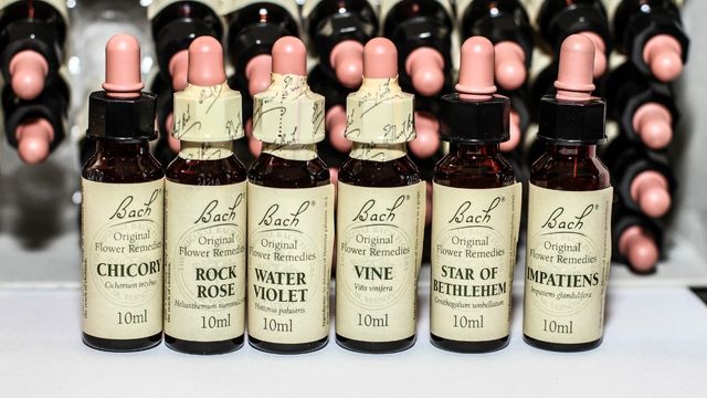 Bach flower remedies module 5